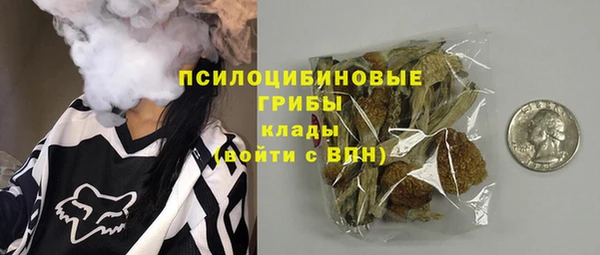 спиды Богданович