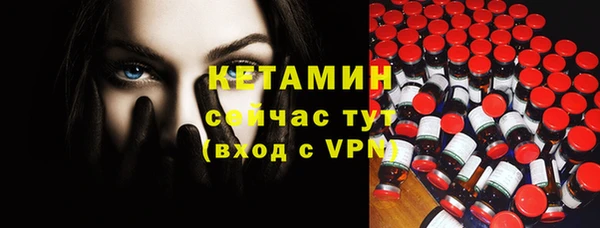 шишки Верхний Тагил