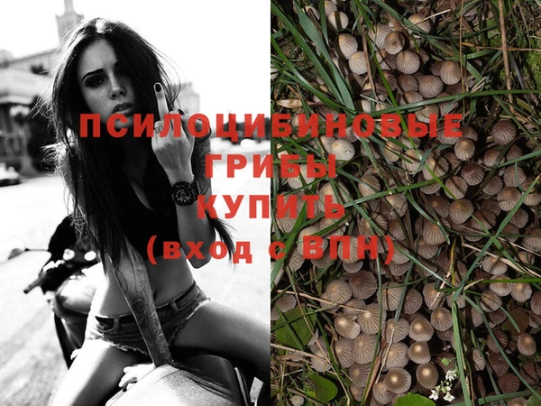 шишки Верхний Тагил