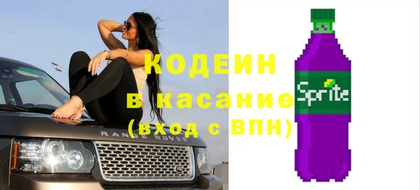 шишки Верхний Тагил