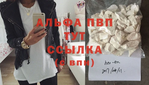 ГАЛЛЮЦИНОГЕННЫЕ ГРИБЫ Верея