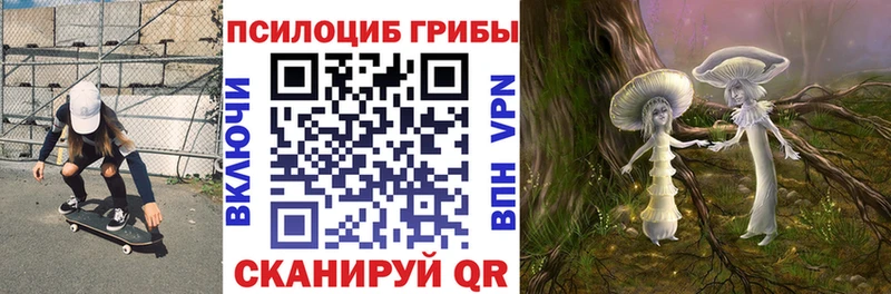 Галлюциногенные грибы MAGIC MUSHROOMS Старица