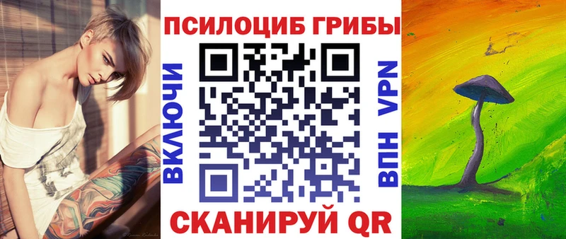 Псилоцибиновые грибы Psilocybine cubensis Старица